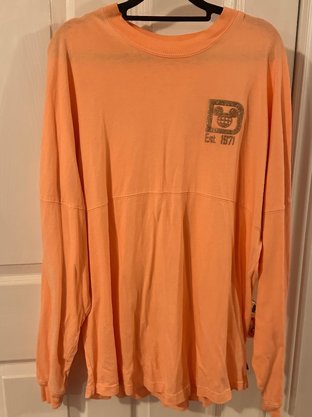 Walt Disney World Rise Gold Spirit Jersey